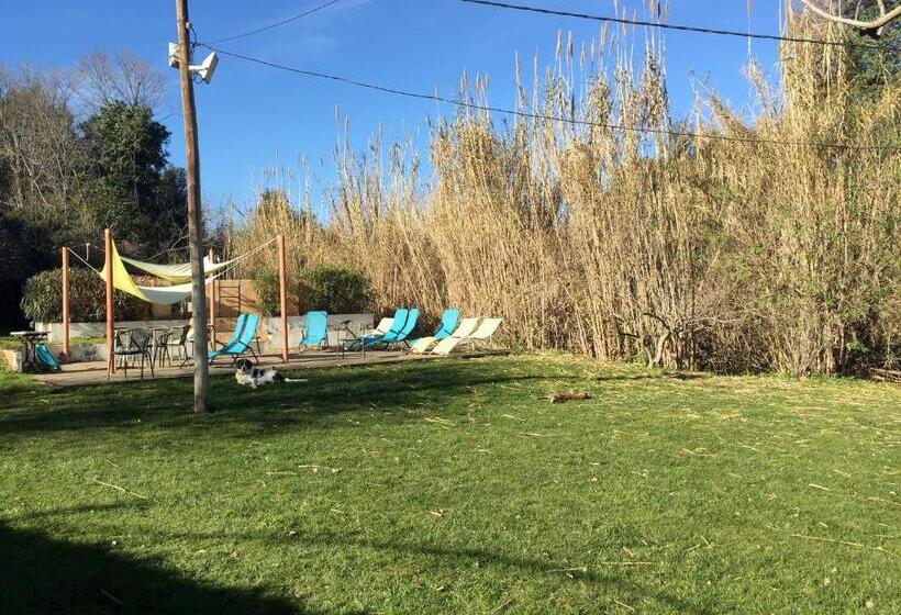 酒店 B&b Mas Torrencito Pet Friendly