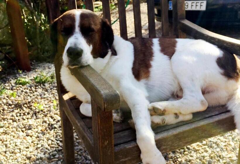 酒店 B&b Mas Torrencito Pet Friendly