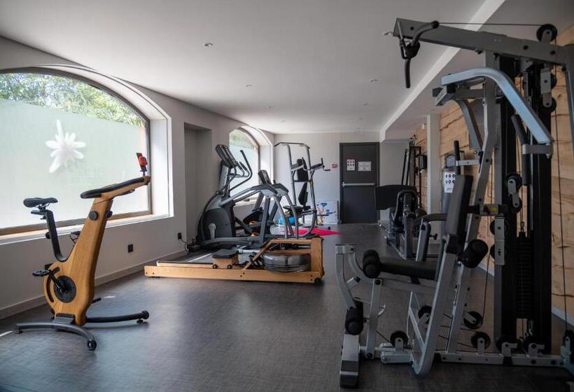 호텔 Montana Chalet Hôtel & Spa