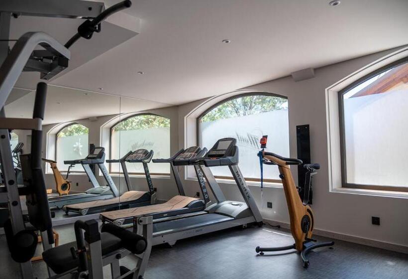 호텔 Montana Chalet Hôtel & Spa