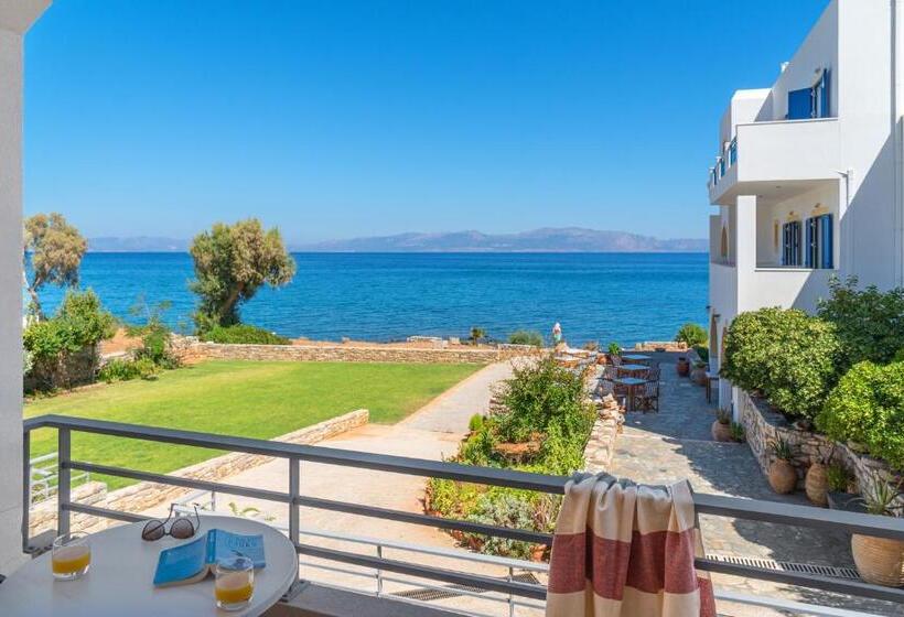 Отель Pelagia Aphrodite