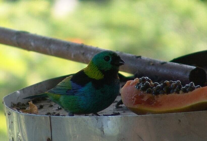 호텔 Porto Pousada Saco Da Capela