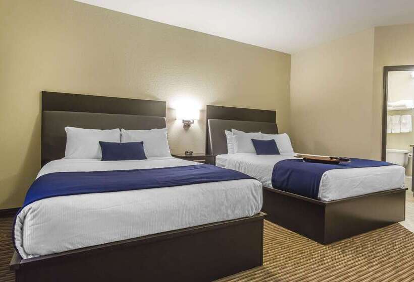 酒店 Quality Inn & Suites