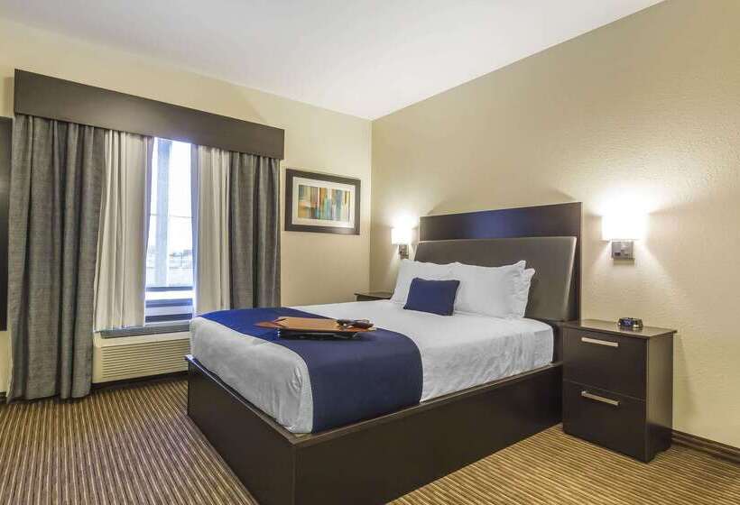 酒店 Quality Inn & Suites