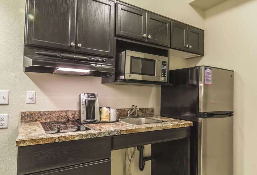 酒店 Quality Inn & Suites