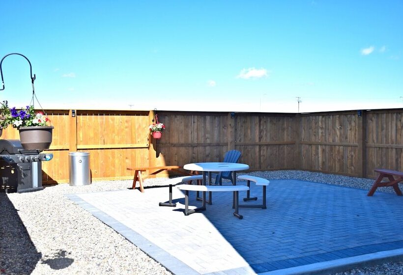 酒店 Quality Inn & Suites