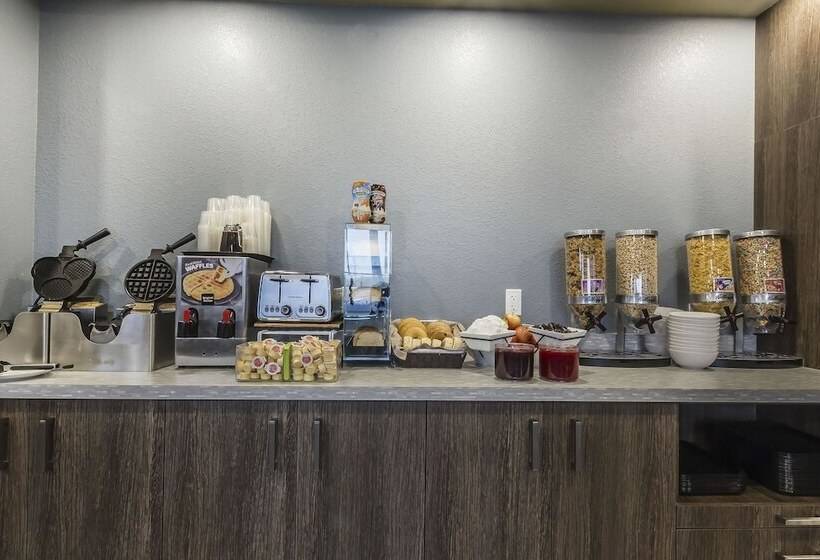 酒店 Quality Inn & Suites