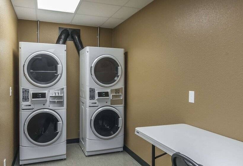 酒店 Quality Inn & Suites