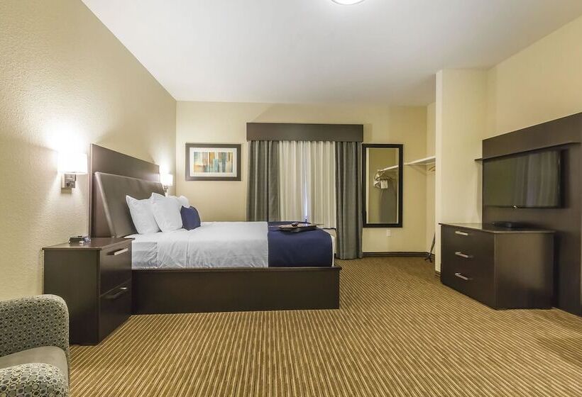 酒店 Quality Inn & Suites