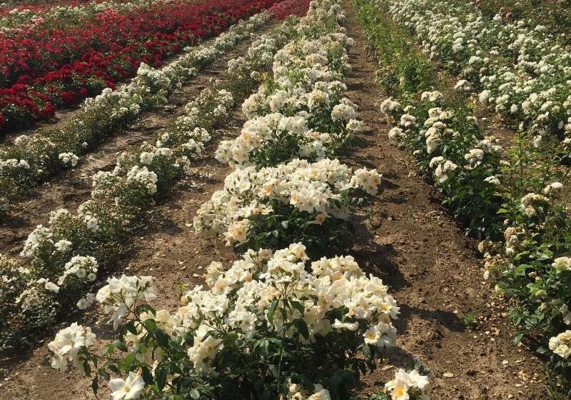 호텔 Relais Santo Stefano