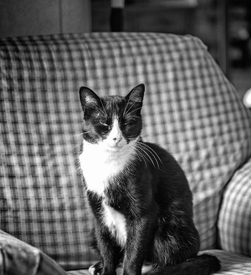 ホテル Residence Alesi