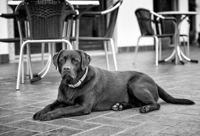 ホテル Residence Alesi