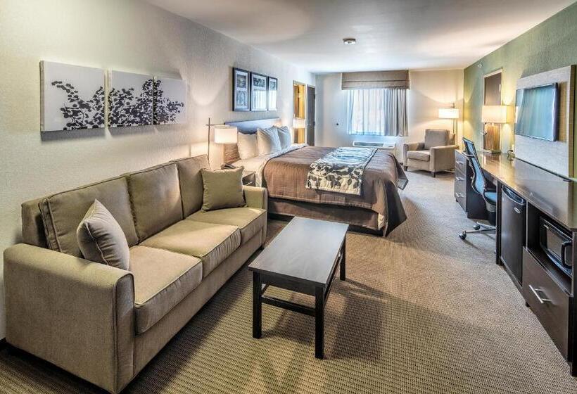 فندق Sleep Inn & Suites East Syracuse