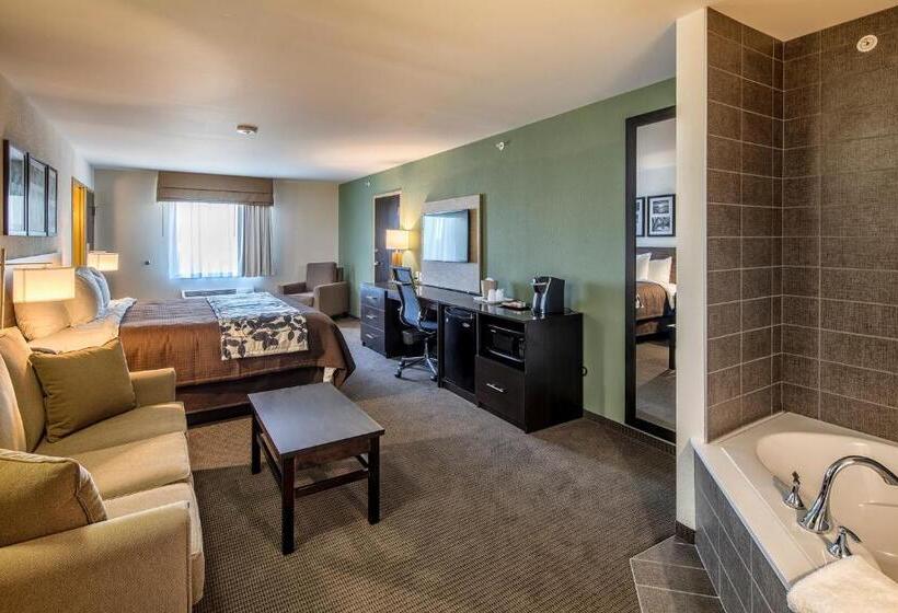 فندق Sleep Inn & Suites East Syracuse