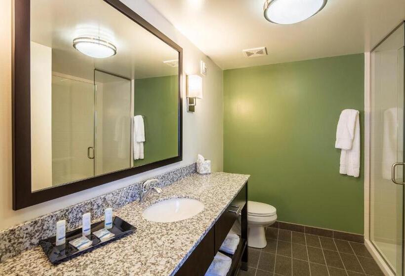 فندق Sleep Inn & Suites East Syracuse