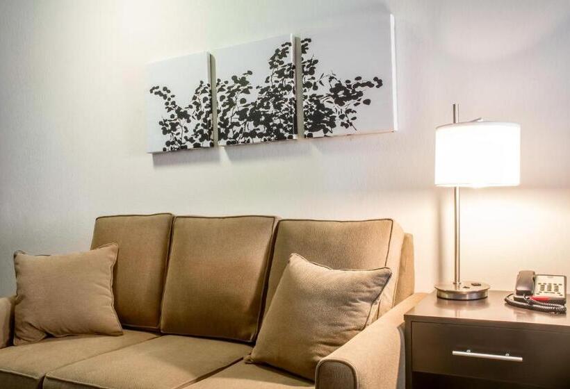 فندق Sleep Inn & Suites East Syracuse