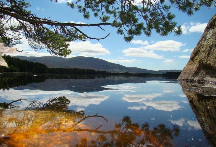 Отель The Boat House Guesthouse