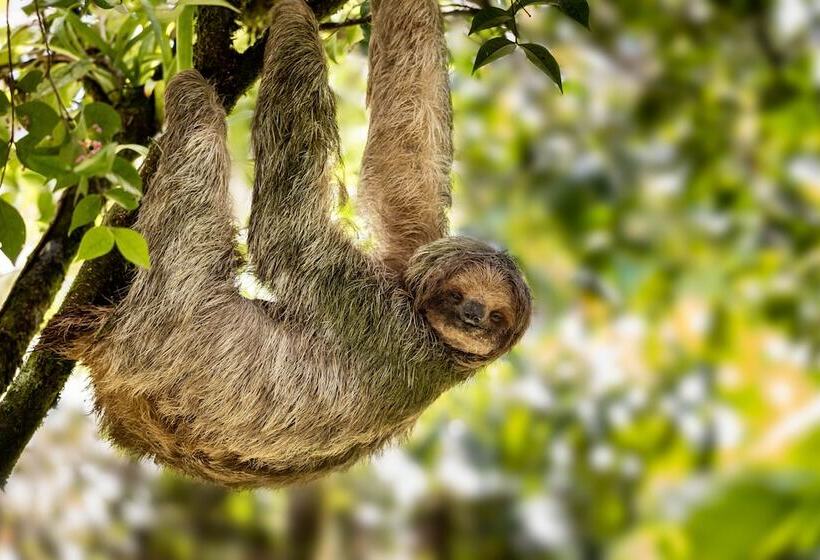 Tifakara Boutique Hotel & Birding Oasis