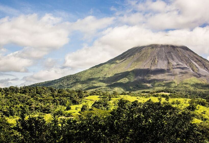 Tifakara Boutique Hotel & Birding Oasis