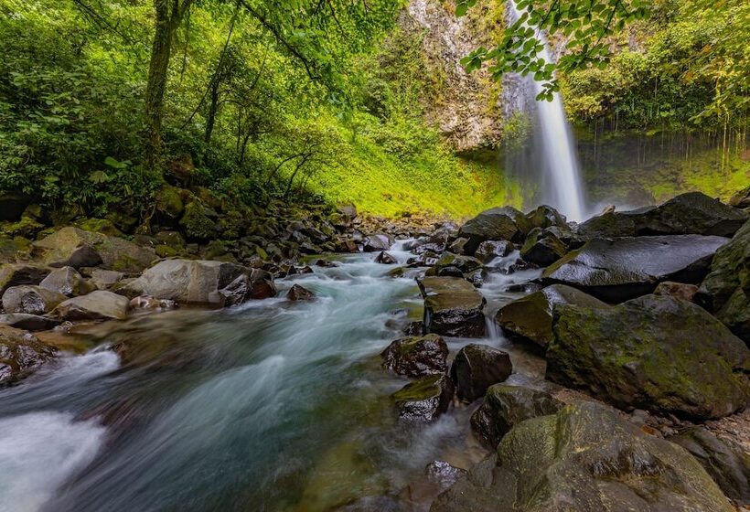 Tifakara Boutique Hotel & Birding Oasis