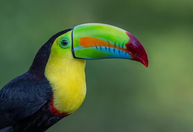 Tifakara Boutique Hotel & Birding Oasis