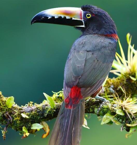 Tifakara Boutique Hotel & Birding Oasis