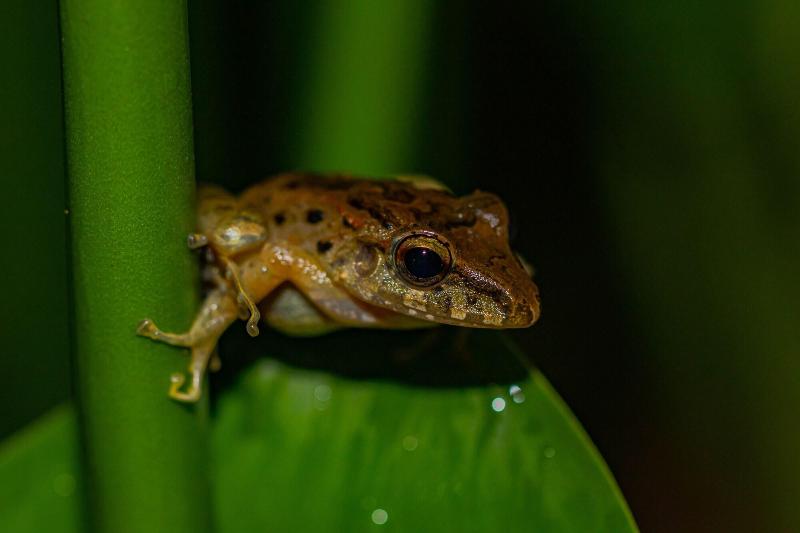 Tifakara Boutique Hotel & Birding Oasis