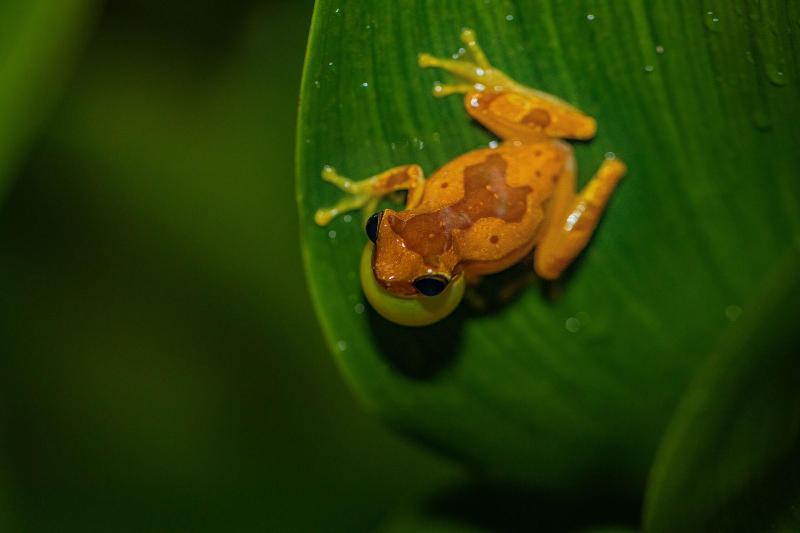 Tifakara Boutique Hotel & Birding Oasis