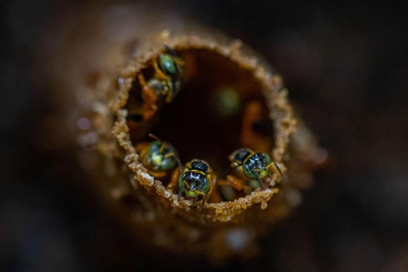 Tifakara Boutique Hotel & Birding Oasis