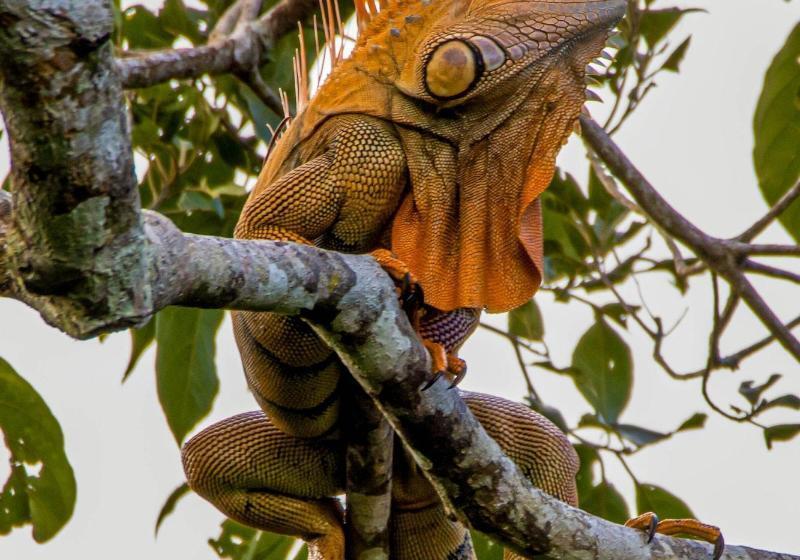 Tifakara Boutique Hotel & Birding Oasis