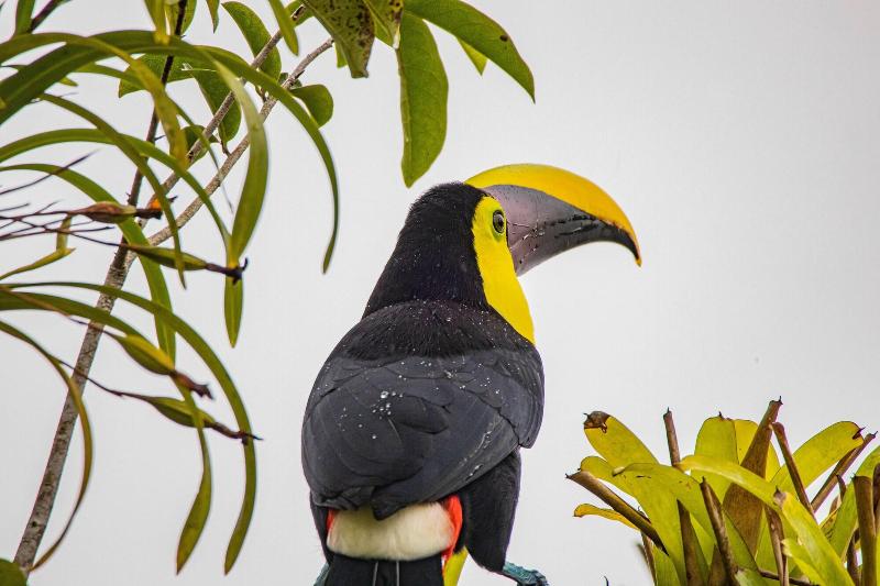 Tifakara Boutique Hotel & Birding Oasis