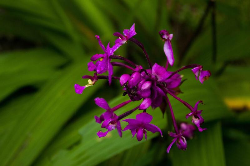 Tifakara Boutique Hotel & Birding Oasis