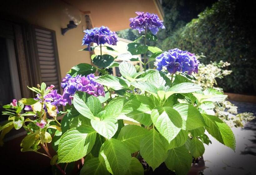 בית מלון כפרי Villa Denia