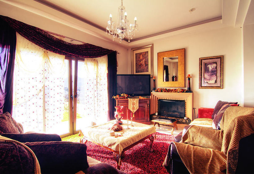 ホテル Villa Ellis