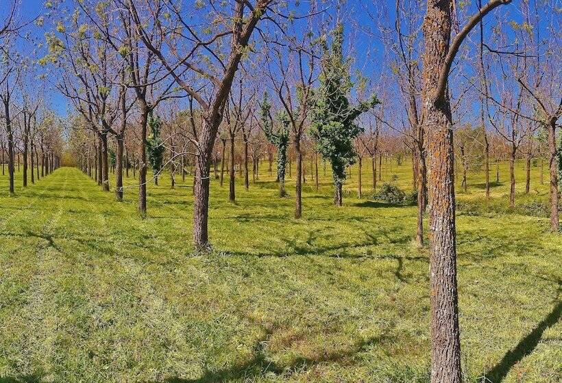 בית מלון כפרי Villaggio La Pescaccia