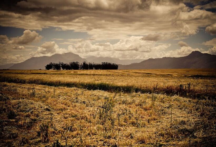 膳宿费 Bartholomeus Klip Farmhouse