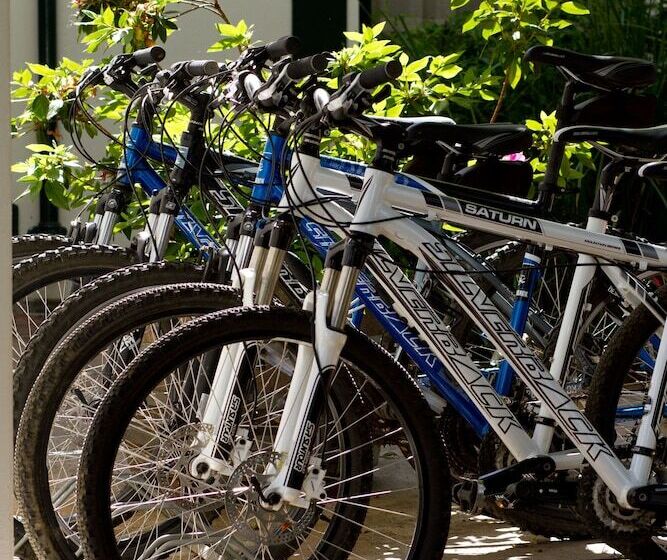 بنسيون Bartholomeus Klip Farmhouse