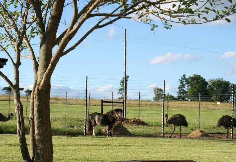 פנסיון Mountain View Guest House