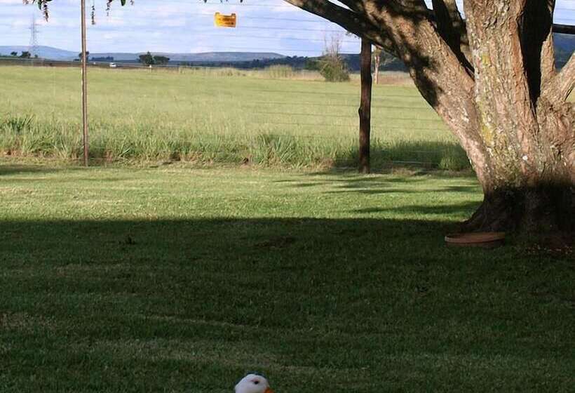 פנסיון Mountain View Guest House