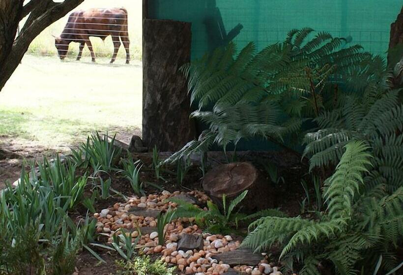 פנסיון Mountain View Guest House