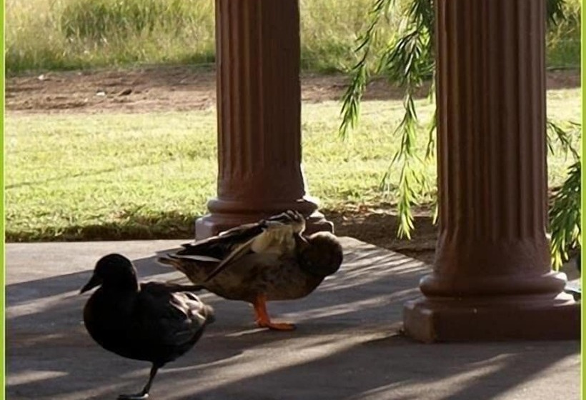 פנסיון Mountain View Guest House