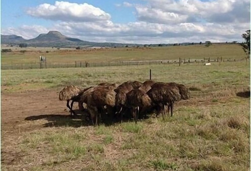 פנסיון Mountain View Guest House