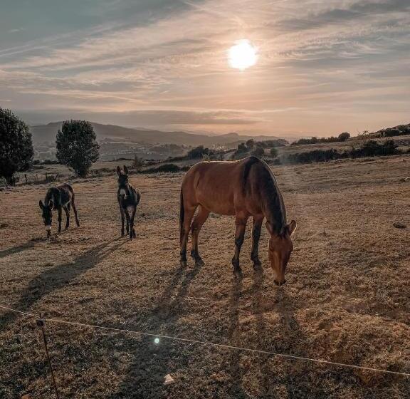 تختخواب و صبحانه Suites Niditas