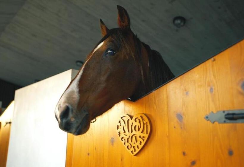 تختخواب و صبحانه Suites Niditas