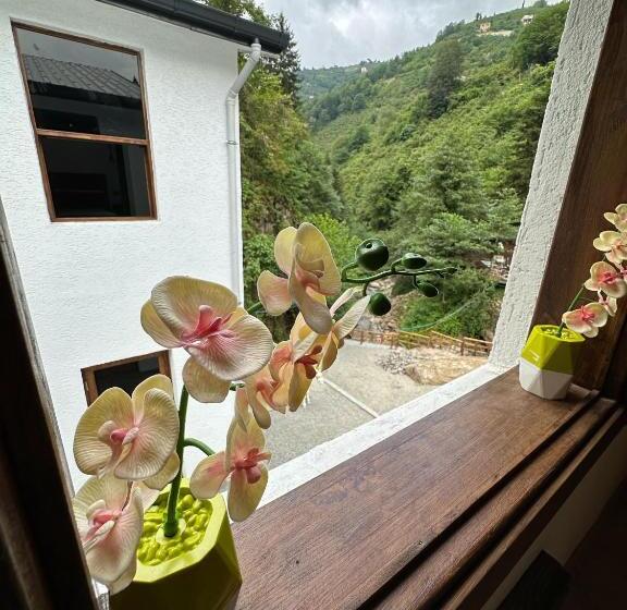 فندق Royal Falls Tati̇l Koyu