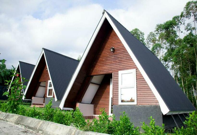 ホテル Kalongo Farm Ecosystem Homes