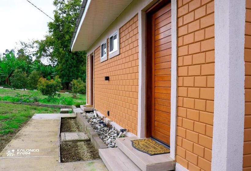 ホテル Kalongo Farm Ecosystem Homes