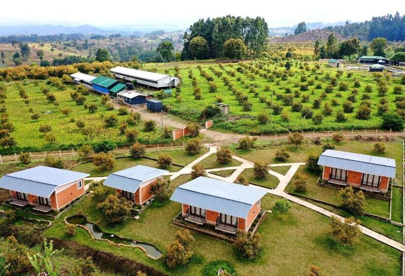 ホテル Kalongo Farm Ecosystem Homes