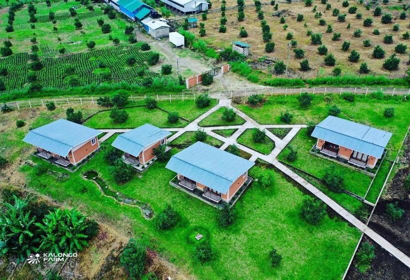 ホテル Kalongo Farm Ecosystem Homes