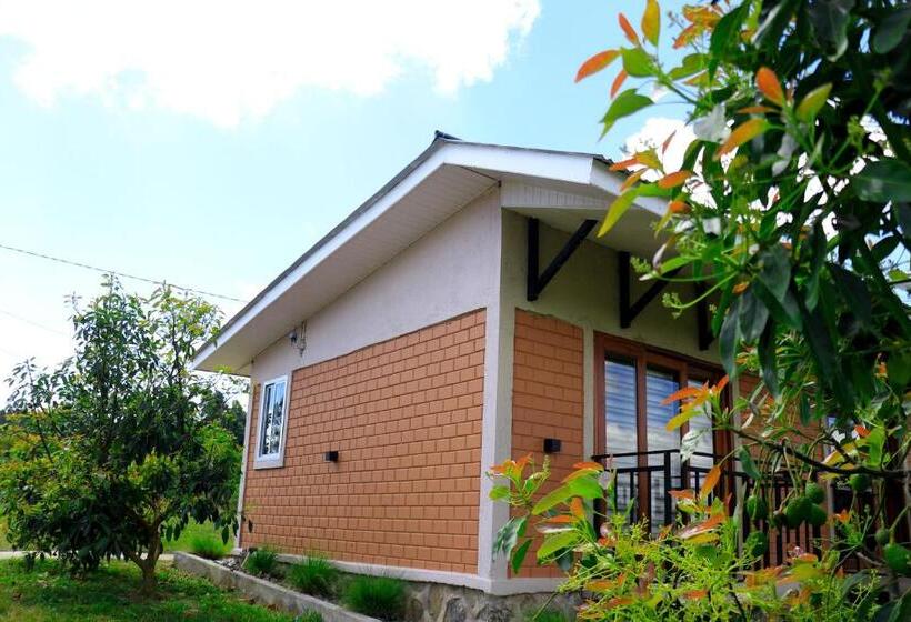 فندق Kalongo Farm Ecosystem Homes